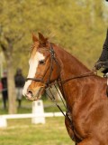 DSC08450 DSC08450