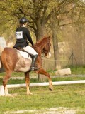 DSC08452 DSC08452