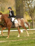 DSC08453 DSC08453