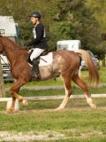 DSC08455 DSC08455