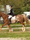 DSC08456 DSC08456