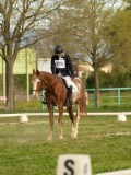 DSC08458 DSC08458