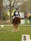 DSC08459 DSC08459