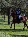 IMG_1680 IMG_1680
