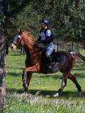 IMG_1683 IMG_1683