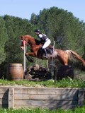 IMG_1685 IMG_1685