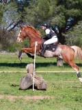 IMG_1688 IMG_1688