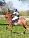 IMG_1690 IMG_1690