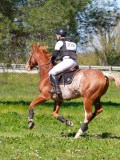 IMG_1693 IMG_1693