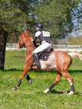 IMG_1694 IMG_1694