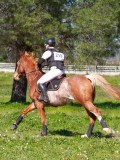 IMG_1695 IMG_1695