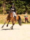 DSC00381 DSC00381