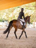 IMG_8748 IMG_8748