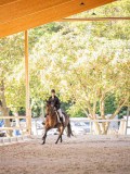 IMG_8749 IMG_8749