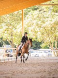 IMG_8750 IMG_8750