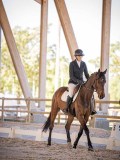 IMG_8768 IMG_8768