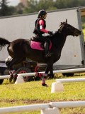 DSC00019