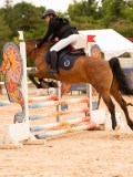 DSC00526 DSC00526