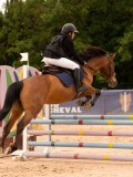 DSC00528 DSC00528