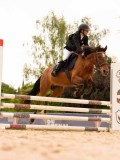 DSC00539 DSC00539