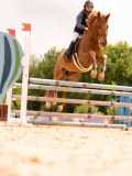 DSC01854 DSC01854