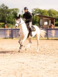 DSC03775 DSC03775
