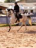DSC03778 DSC03778