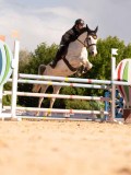 DSC03782 DSC03782