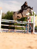DSC03783 DSC03783