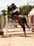 DSC05272 DSC05272