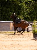DSC05277 DSC05277