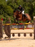 DSC03959 DSC03959