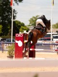 DSC03964 DSC03964