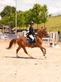 DSC08354 DSC08354