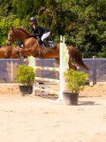 DSC08358 DSC08358