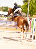 DSC08369 DSC08369