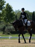 DSC07544 DSC07544