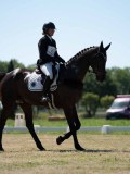DSC07557 DSC07557