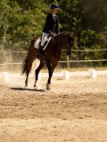 DSC06240 DSC06240