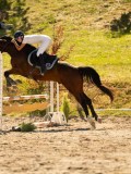 DSC07595 DSC07595