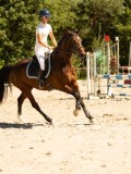 DSC07598 DSC07598