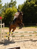 DSC07600 DSC07600