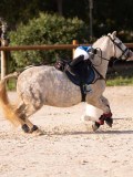 DSC06444 DSC06444