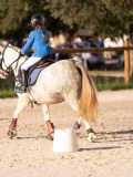 DSC06450 DSC06450