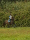 DSC06084