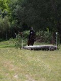 IMG_3913 IMG_3913