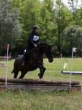 IMG_3917 IMG_3917