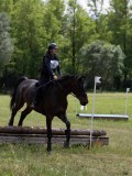 IMG_3918 IMG_3918