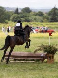 IMG_3920 IMG_3920