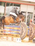 DSC01144 DSC01144